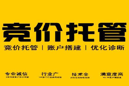 某品牌sem代运营机构合作案例：提升广告ROI的秘诀